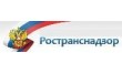 Управление государственного автодорожного надзора по Челябинской области